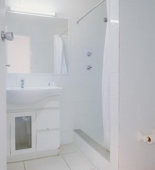 חדר דחוקס עם מיטת קינג, Artesian Spa Motel