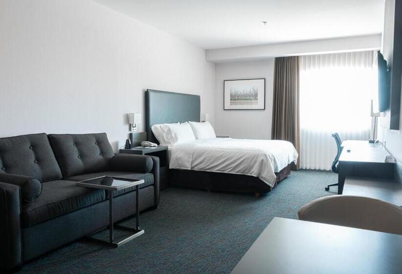 带大床的套房, Holiday Inn Express Hotel & Suites Hermosillo, An Ihg