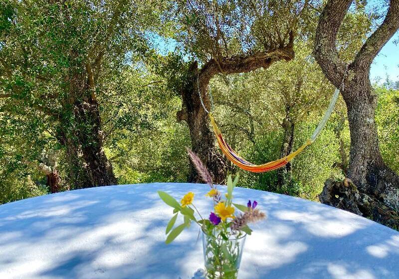 高级大房间, Pangeran City