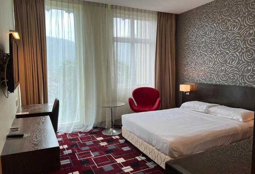 디럭스 룸, Ssl Traders