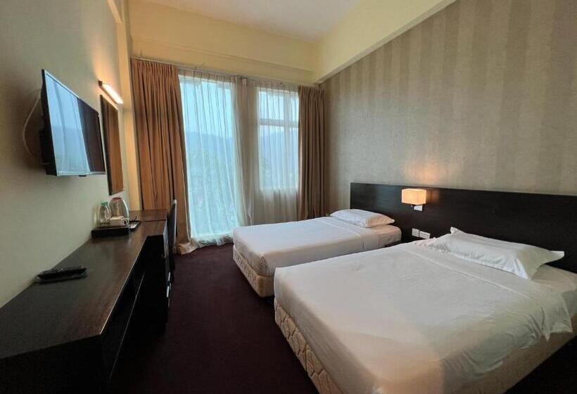 스탠다드 룸, Ssl Traders