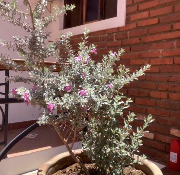 اتاق استاندارد, Casa San Martín