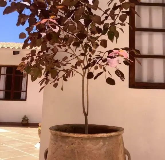 اتاق استاندارد یک نفره, Casa San Martín