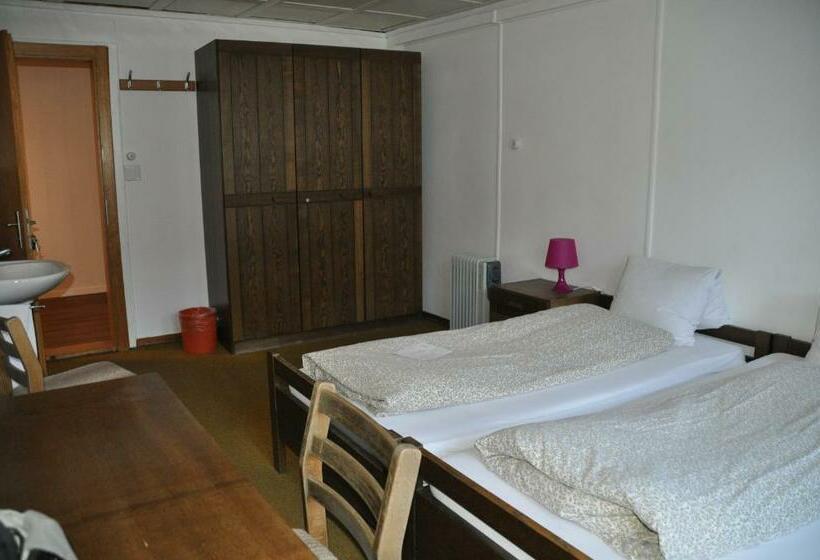 Номер Стандарт Совместная Ванная, Hostel Engelberg Mein Trail Hostel
