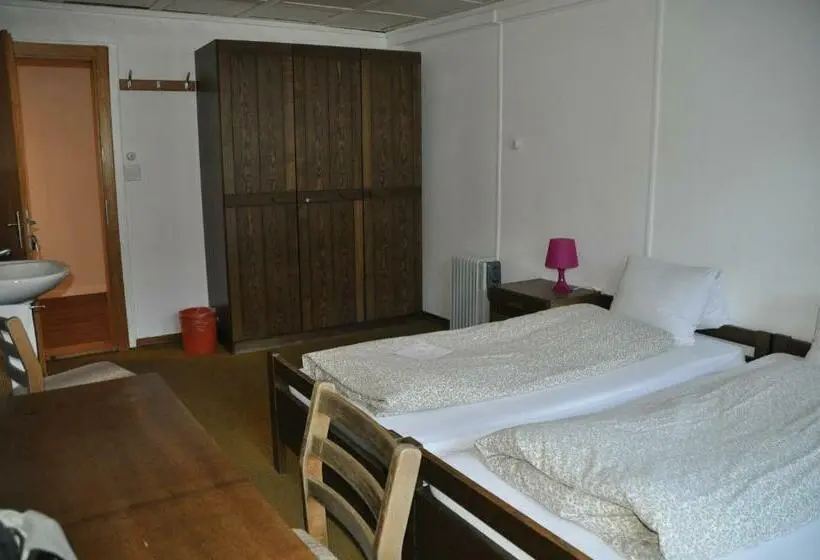 Standard-huone Jaettu Kylpyhuone, Hostel Engelberg Mein Trail Hostel