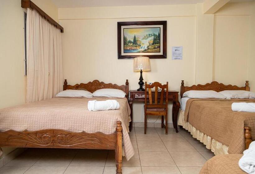 スタンダードルーム, Internacional Palmerola