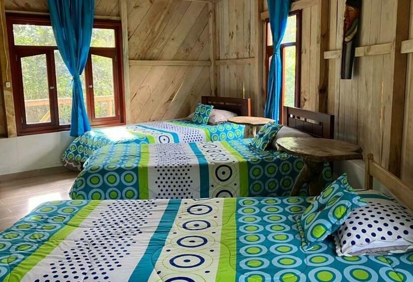 חדר קלאסי לארבעה, Ayen Bienestar Ancestral