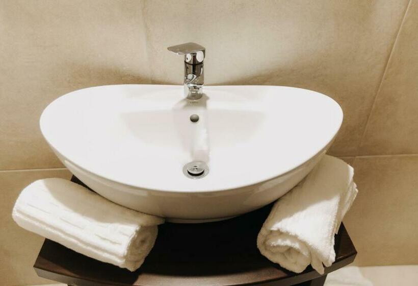 标准间, Borsika Pensiune & Spa