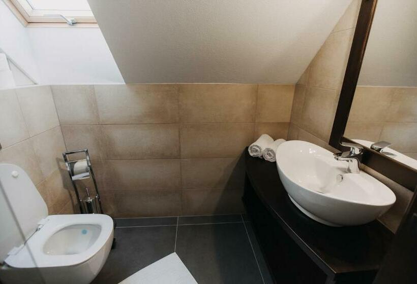 豪华房间, Borsika Pensiune & Spa