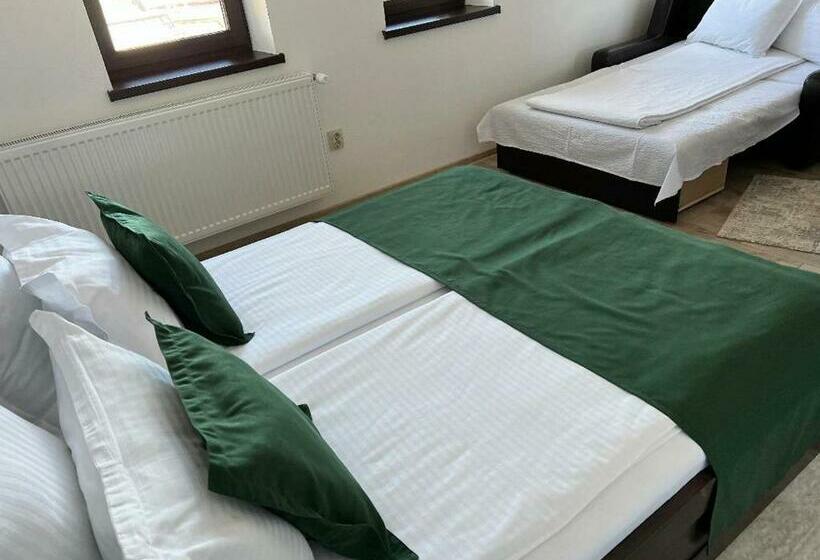 标准间, Borsika Pensiune & Spa