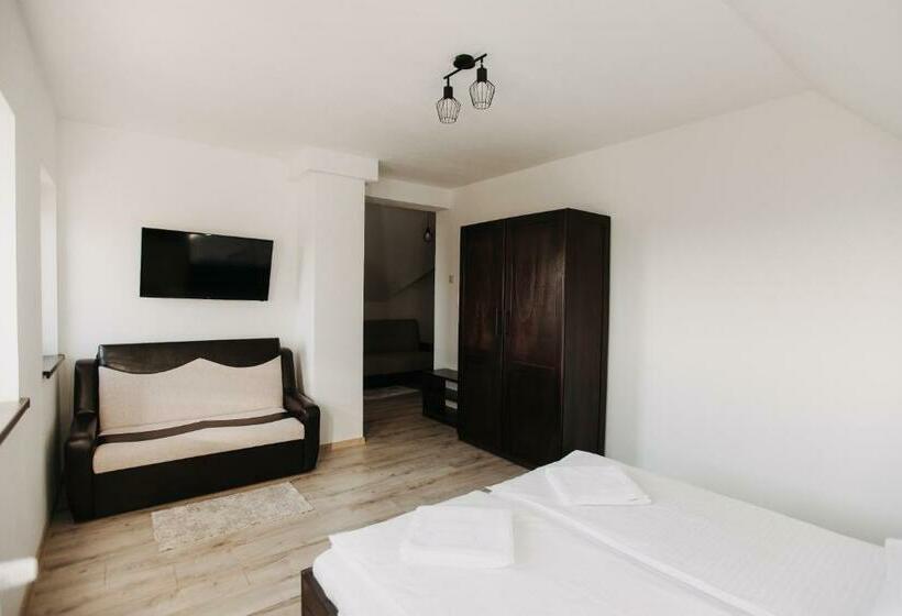 标准间, Borsika Pensiune & Spa