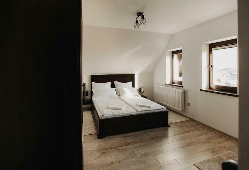 标准间, Borsika Pensiune & Spa