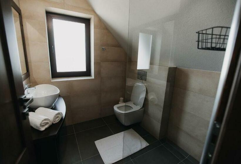 标准间, Borsika Pensiune & Spa