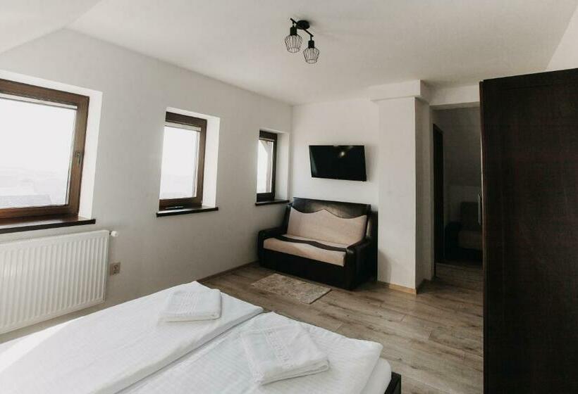 스탠다드 룸, Borsika Pensiune & Spa