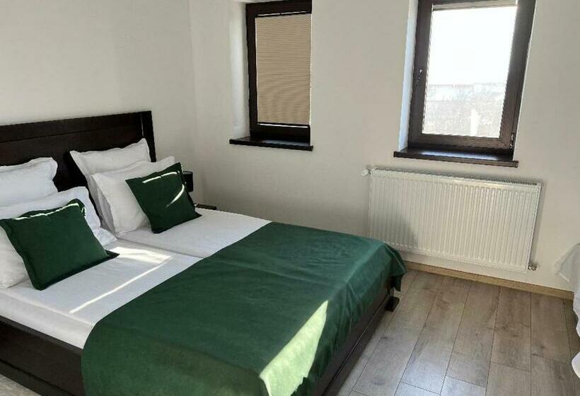 标准间, Borsika Pensiune & Spa