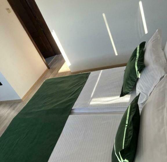 标准间, Borsika Pensiune & Spa