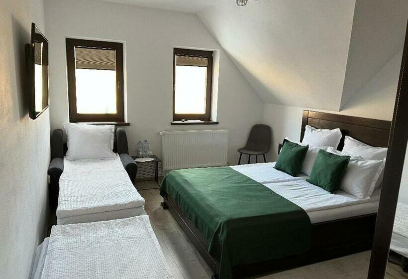 豪华房间, Borsika Pensiune & Spa