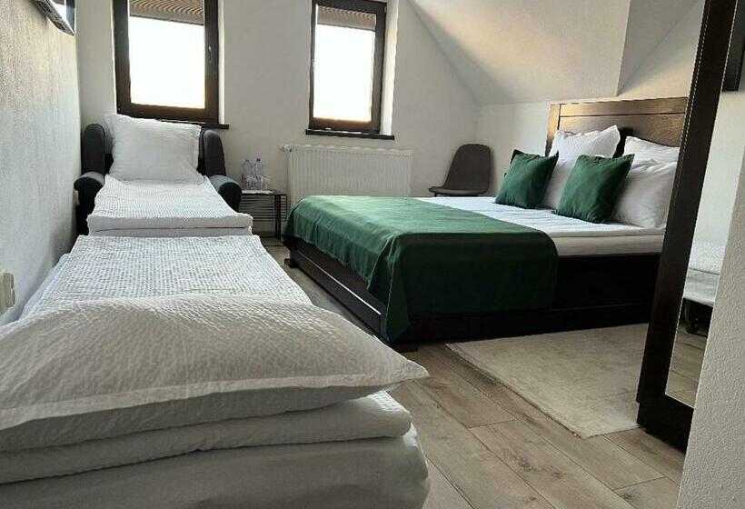 豪华房间, Borsika Pensiune & Spa