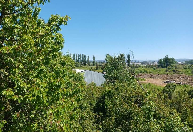 اتاق استاندارد, Hostel Casa De Campo Niña Bosque