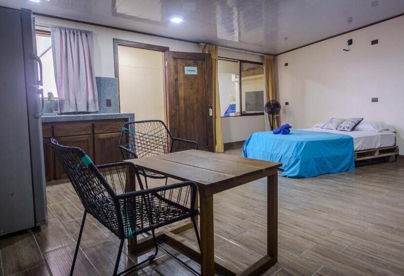 شقة غرفة واحدة, Argdivan Hostel