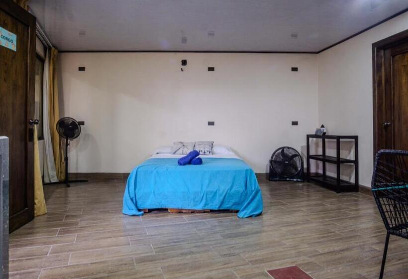 شقة غرفة واحدة, Argdivan Hostel