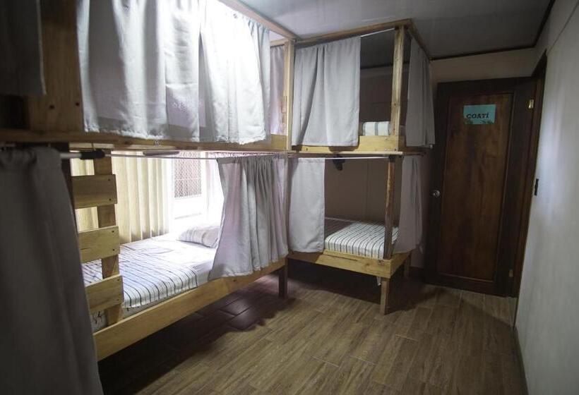 سرير فى غرفة مشتركه, Argdivan Hostel