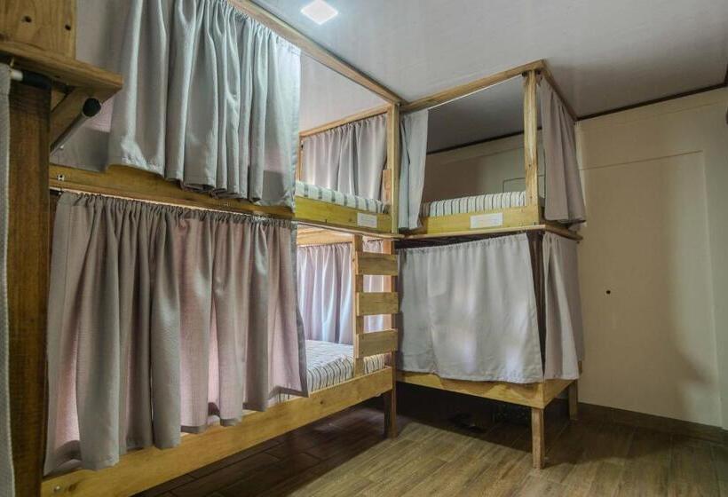 سرير فى غرفة مشتركه, Argdivan Hostel