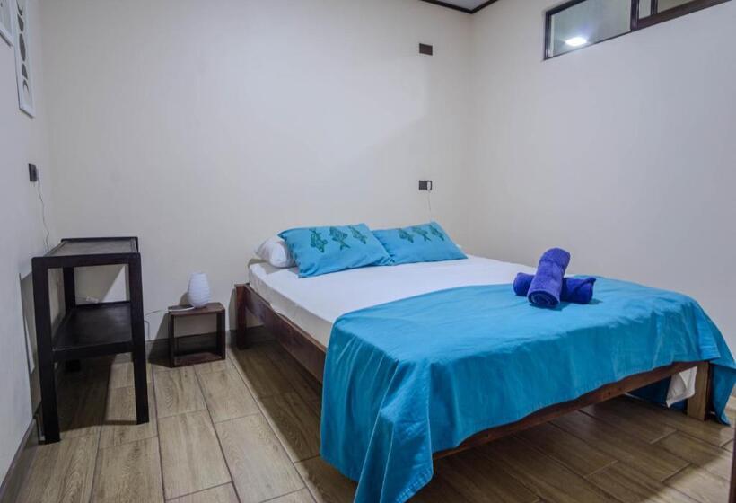 غرفة قياسية, Argdivan Hostel