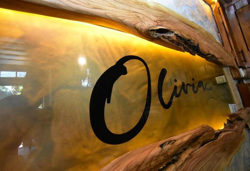 חדר סופריור, Olivia1845 Guest House Ayvalık