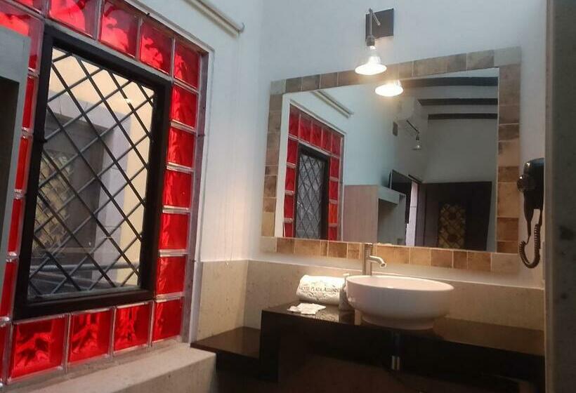 اتاق استاندارد, Sonno Plaza Allende