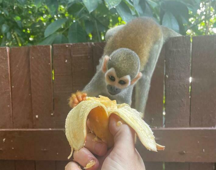 آپارتمان 1 خوابه, Recanto Alter Do Chão