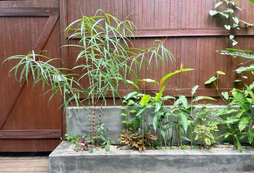 آپارتمان 1 خوابه, Recanto Alter Do Chão