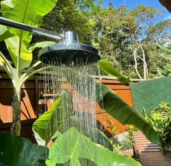 آپارتمان 1 خوابه, Recanto Alter Do Chão