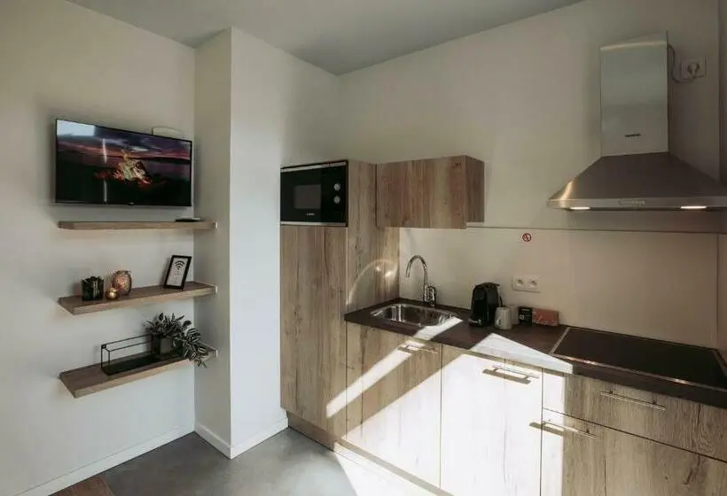 テラス付きスタンダードルーム, City Housing Genk