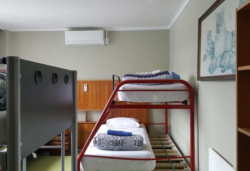 מיטה בחדר משותף, Ariki Backpackers