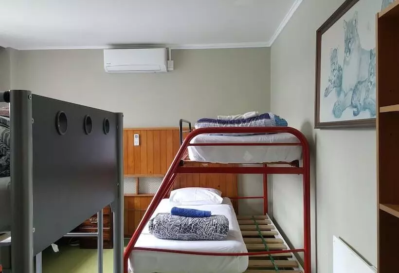 ルームシェアのワンベッド, Ariki Backpackers