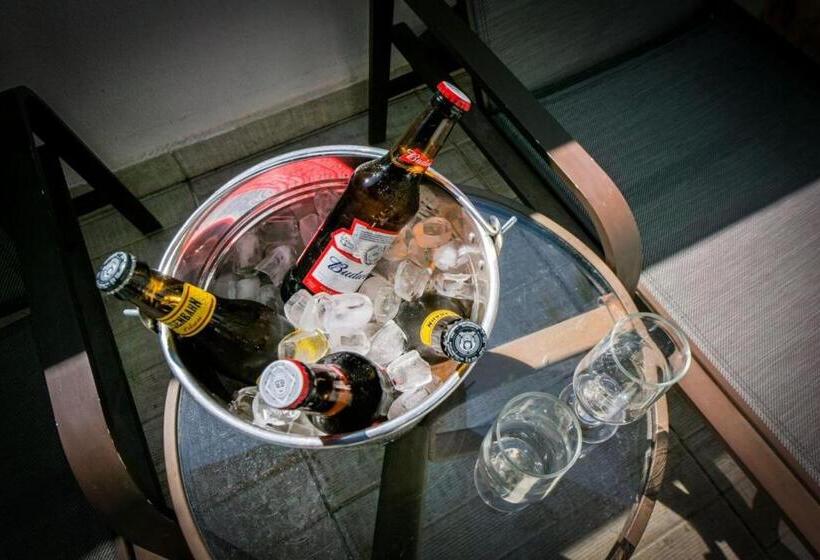 高级大房间, Araçatuba Plaza