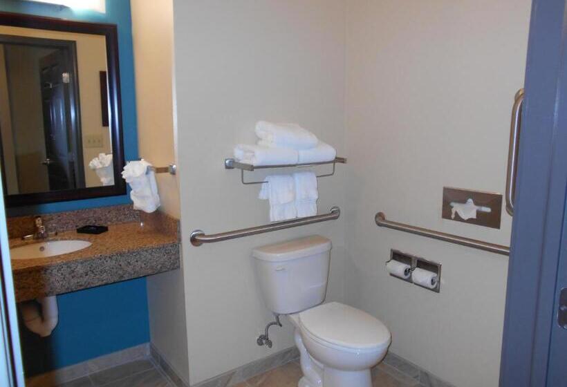 스탠다드 룸, Best Western Plus Patterson Park Inn
