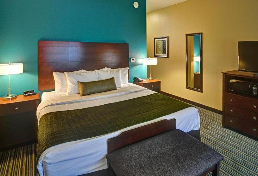 带大床的标准间, Best Western Plus Patterson Park Inn