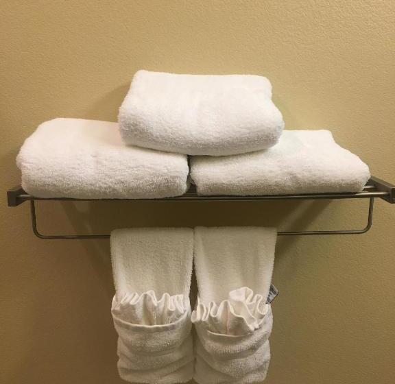 带大床的标准间, Best Western Plus Patterson Park Inn