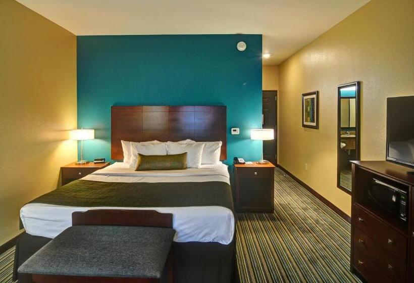 适合残疾人士使用的带超级大床的标准间, Best Western Plus Patterson Park Inn