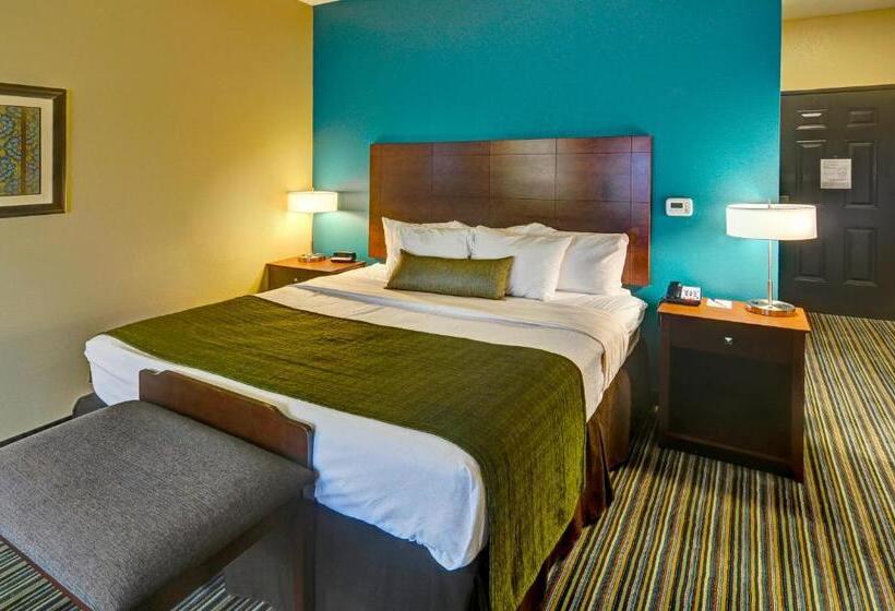 장애인을 위한 킹사이즈 침대 스탠다드 룸, Best Western Plus Patterson Park Inn
