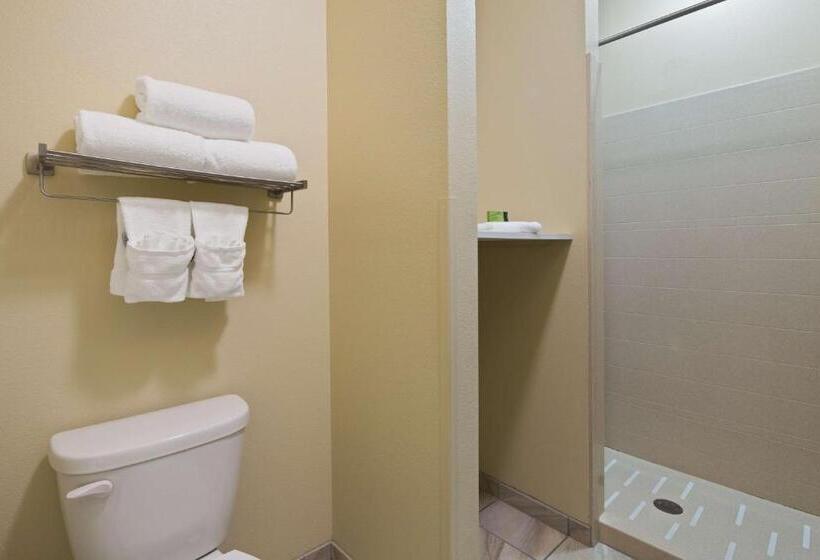 适合残疾人士使用的带超级大床的标准间, Best Western Plus Patterson Park Inn