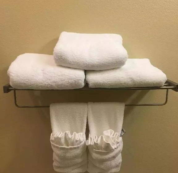 スイート, Best Western Plus Patterson Park Inn