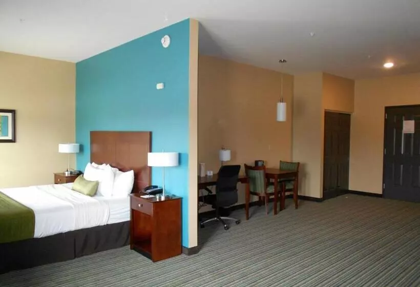 身障者適用スイートルーム, Best Western Plus Patterson Park Inn
