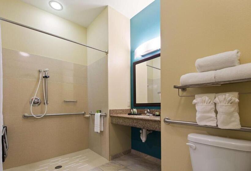 适合残疾人士使用的套间, Best Western Plus Patterson Park Inn