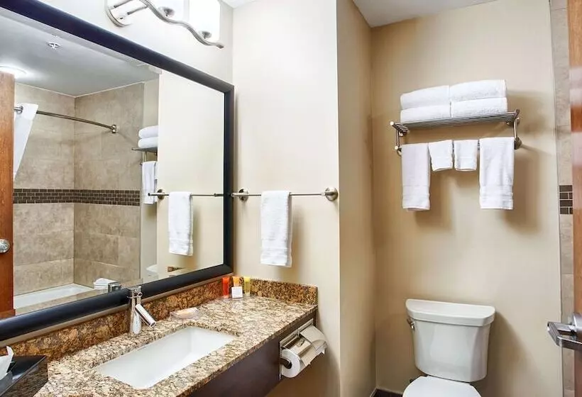 スイート, Best Western Plus Peace River Hotel & Suites