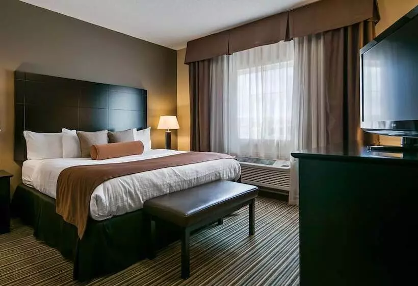 スイート, Best Western Plus Peace River Hotel & Suites