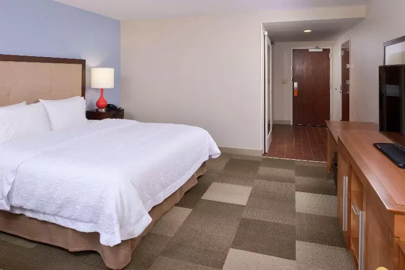 キングサイズベッドのスタンダードルーム, Hampton Inn & Suites By Hilton Lonoke