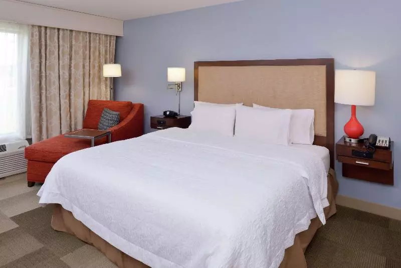 キングサイズベッドのスタンダードルーム, Hampton Inn & Suites By Hilton Lonoke